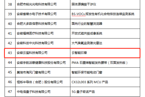 恭喜,！云智能印章入選安徽省第九批信息消費(fèi)創(chuàng)新產(chǎn)品名單！(圖3)